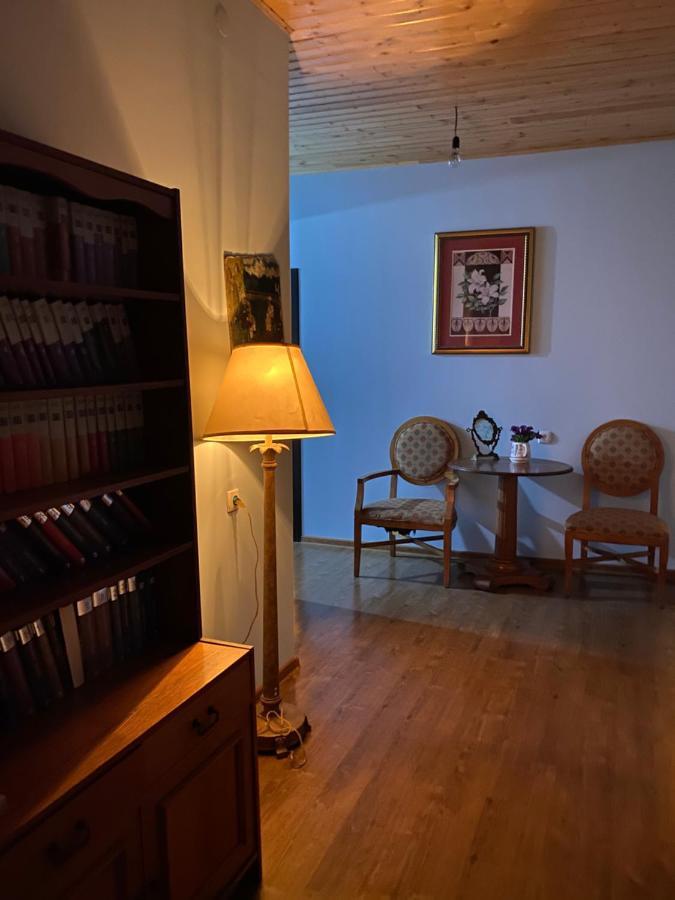 Iuri Udesiani'S Guesthouse 메스티아 외부 사진